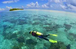 Reef Dive Resort Mataking Dive Resort