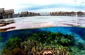 Kapalai Underwater