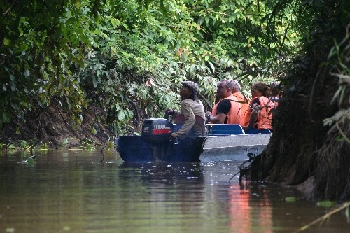Kinabatangan River Wildlife Boat Cruise Kinabatangan Cruise