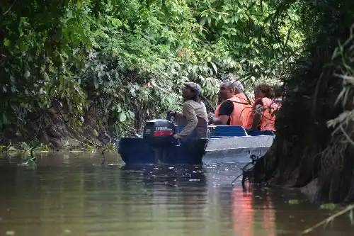 Kinabatangan River Wildlife Boat Cruise Kinabatangan Cruise