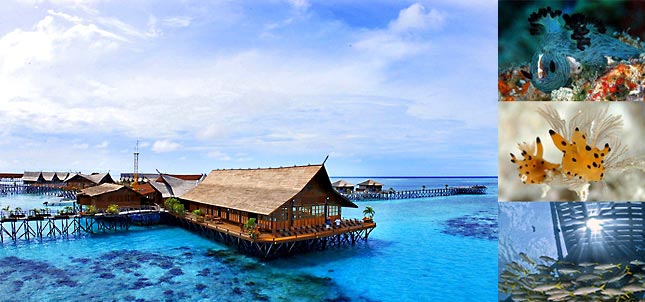 Kapalai Dive Resort