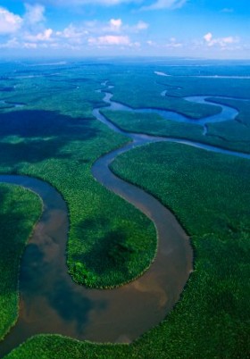 Kinabatangan River Kinabatangan River