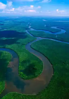 Kinabatangan River Kinabatangan River