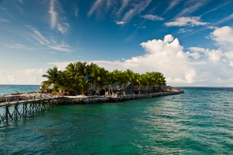 Tauch Roach Reefs Resort