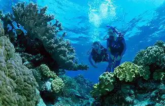 Diving with Seaventures