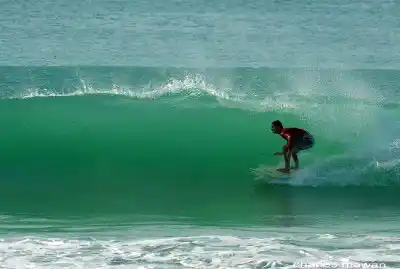 Kudat is known as the surfing capital of Sabah. Surfer carving along a perfect green wave, showcasing the excellent surfing conditions available in Kudat, Sabah, Borneo.