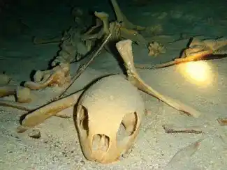Sipadan Turtle Cave
